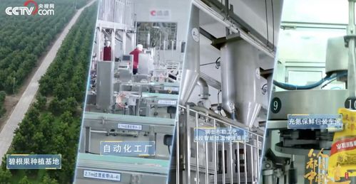 洽洽食品2022年三季度净利润达6.27亿元，同比增长5.45%，技术服务成新增长点