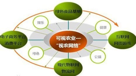 解析VIE结构 网络技术服务中的特殊架构